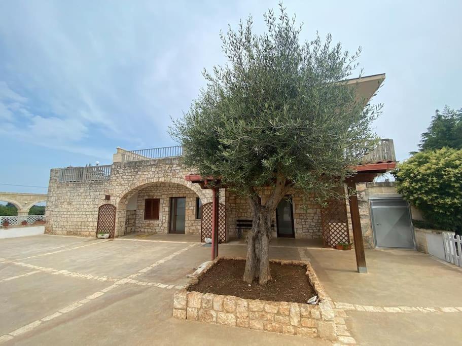Villa Coco Monopoli Εξωτερικό φωτογραφία